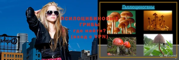 стаф Горняк