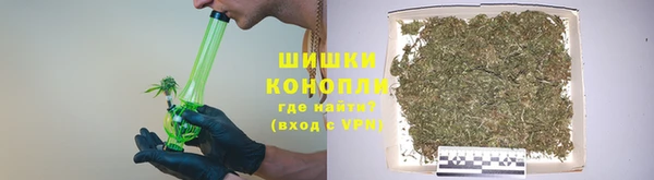 стаф Горняк