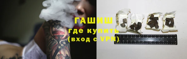 стаф Горняк
