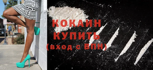 стаф Горняк