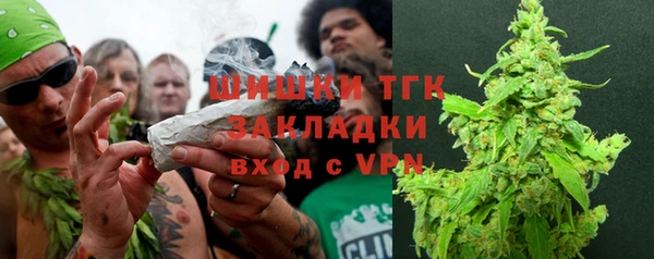 стаф Горняк