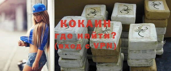 стаф Горняк